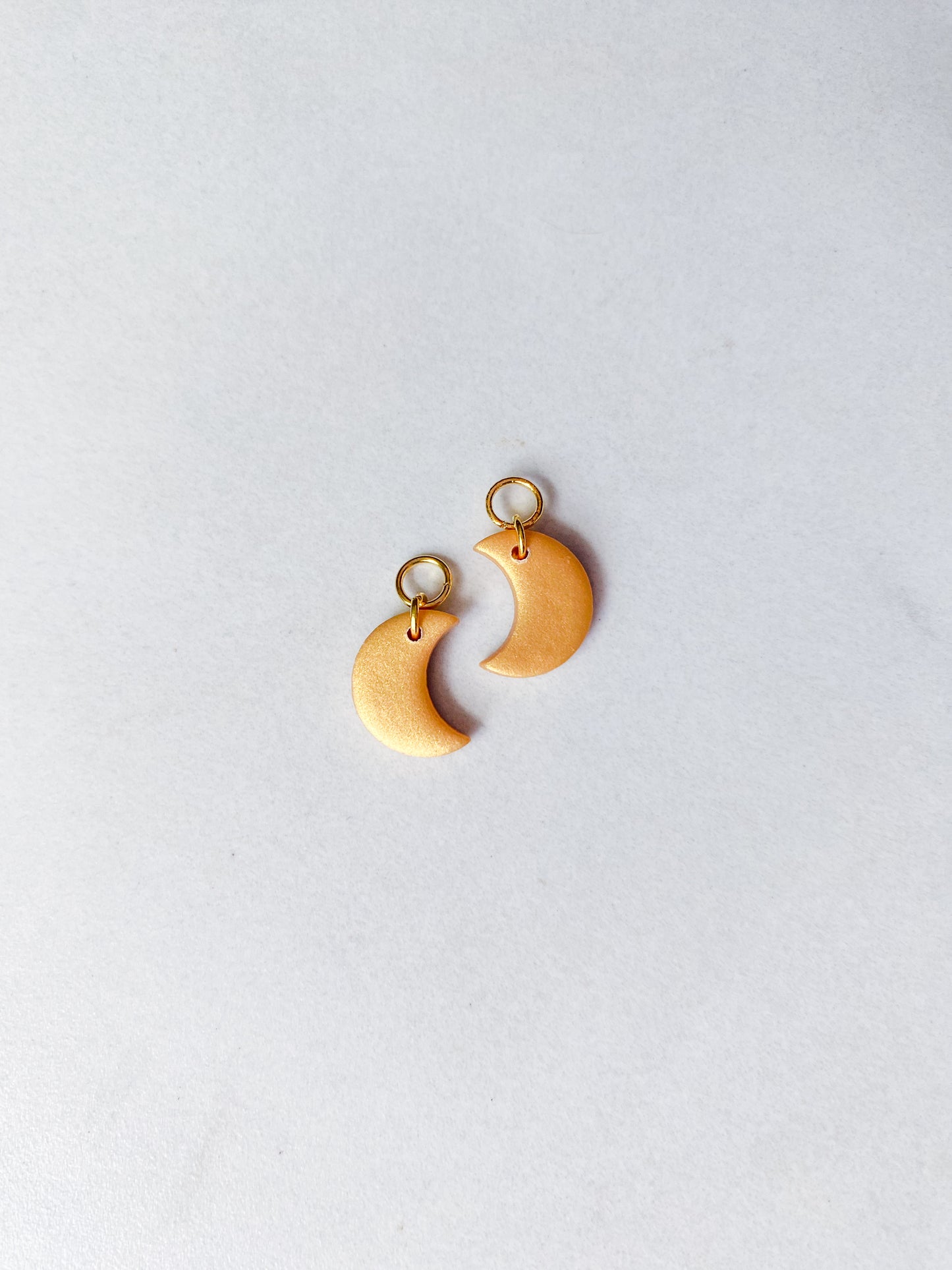 Dainty Hoops & Charms