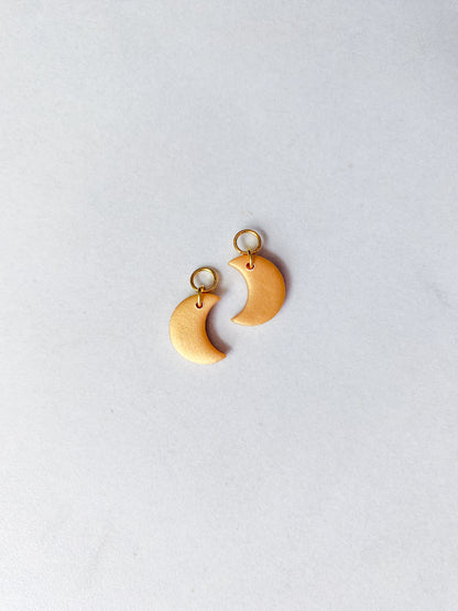 Dainty Hoops & Charms